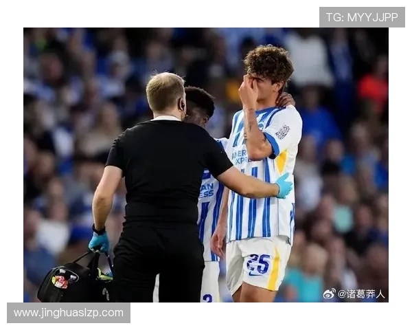 布莱顿俱乐部宣布新赛季阵容更新 多名新援加盟增强球队实力