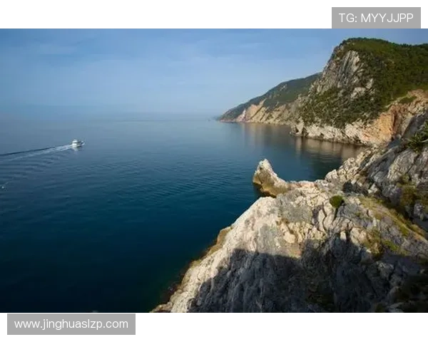 梅斯俱乐部：法国足球历史中的璀璨明珠与辉煌成就解析